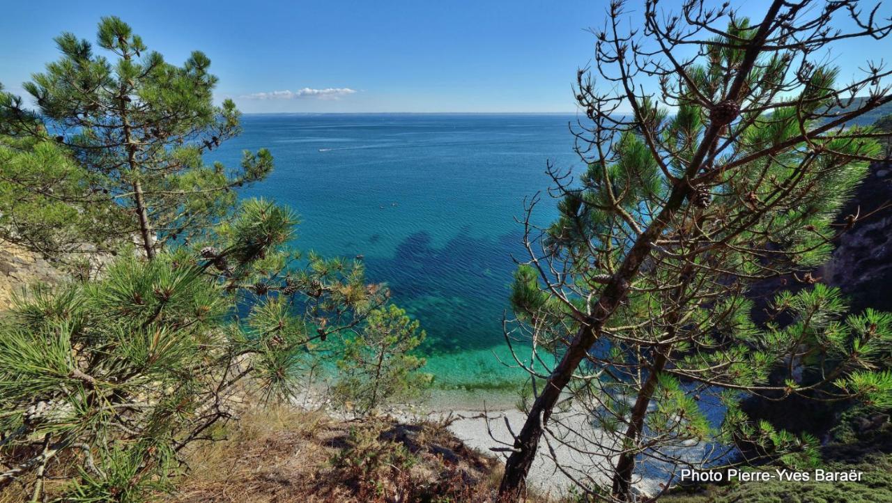 Le Dixmude, Appartement Proche Plage De Morgat Crozon Exteriör bild